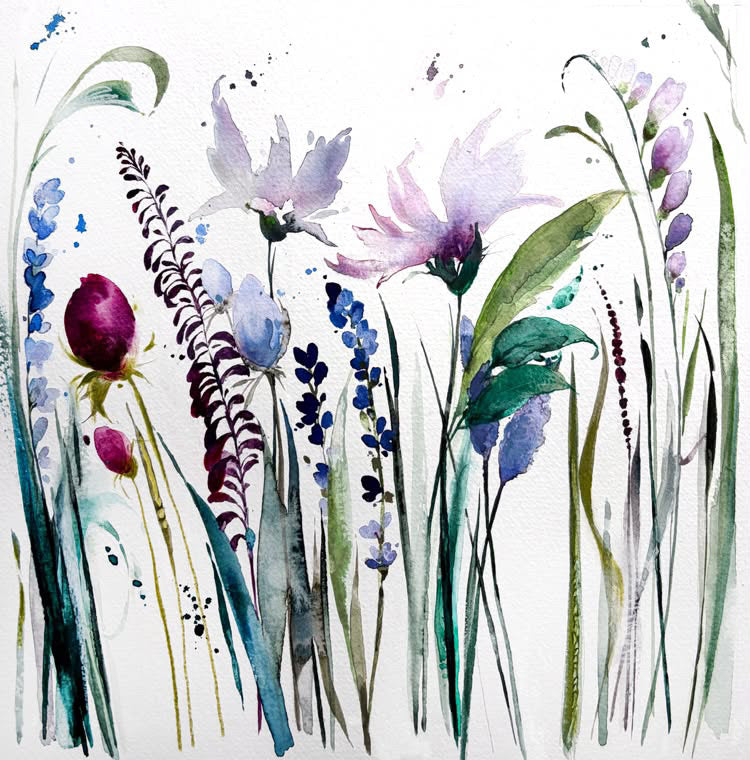 Cornflower Breeze