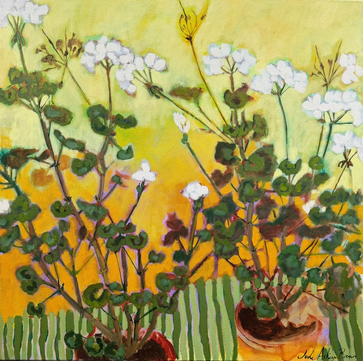White Pelargonium and Green Stripe