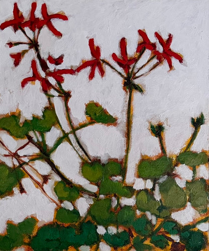 Geranium Study I