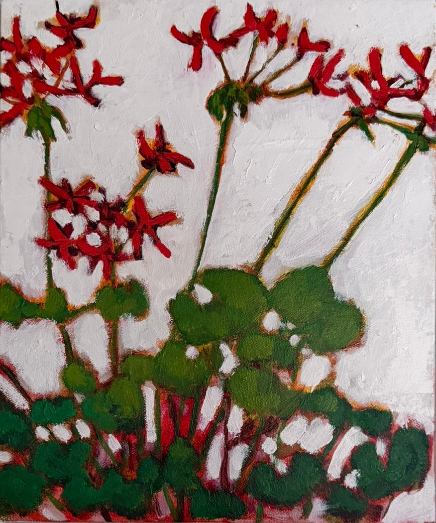 Geranium Study II