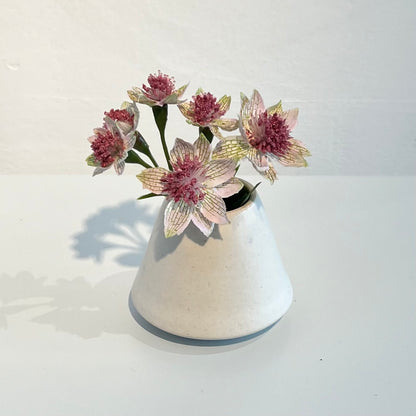 Hiro Blossom Pots
