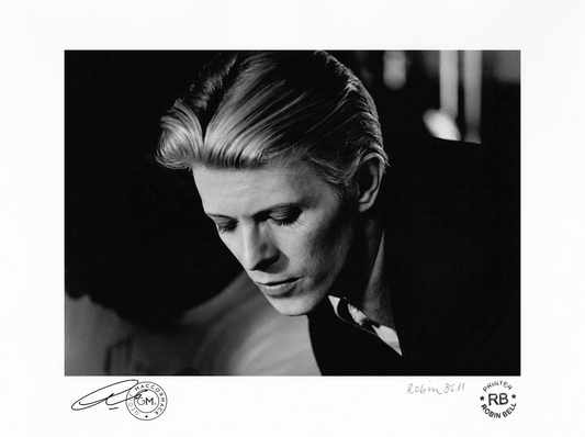 RB Eyes Down - silver gel hand print (framed)