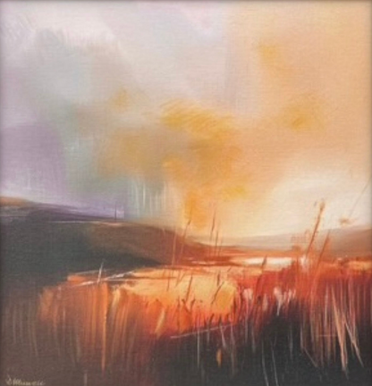 Evening Light I
