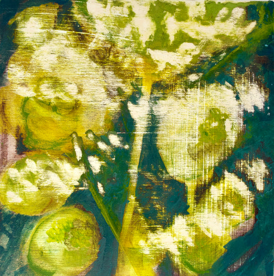 Cow Parsley